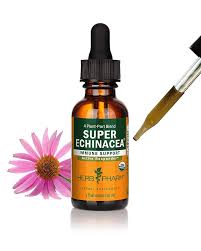 Echinacea Tincture